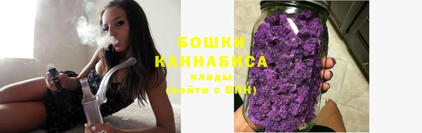 шишки Приозерск