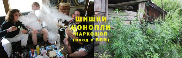 гашик Арсеньев