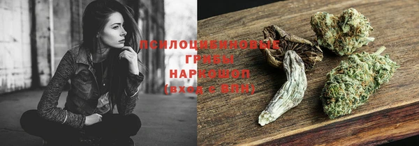 ГАЛЛЮЦИНОГЕННЫЕ ГРИБЫ Протвино