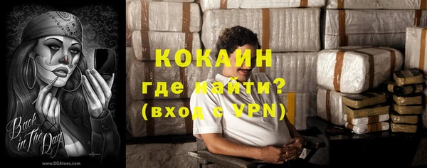 шишки Приозерск